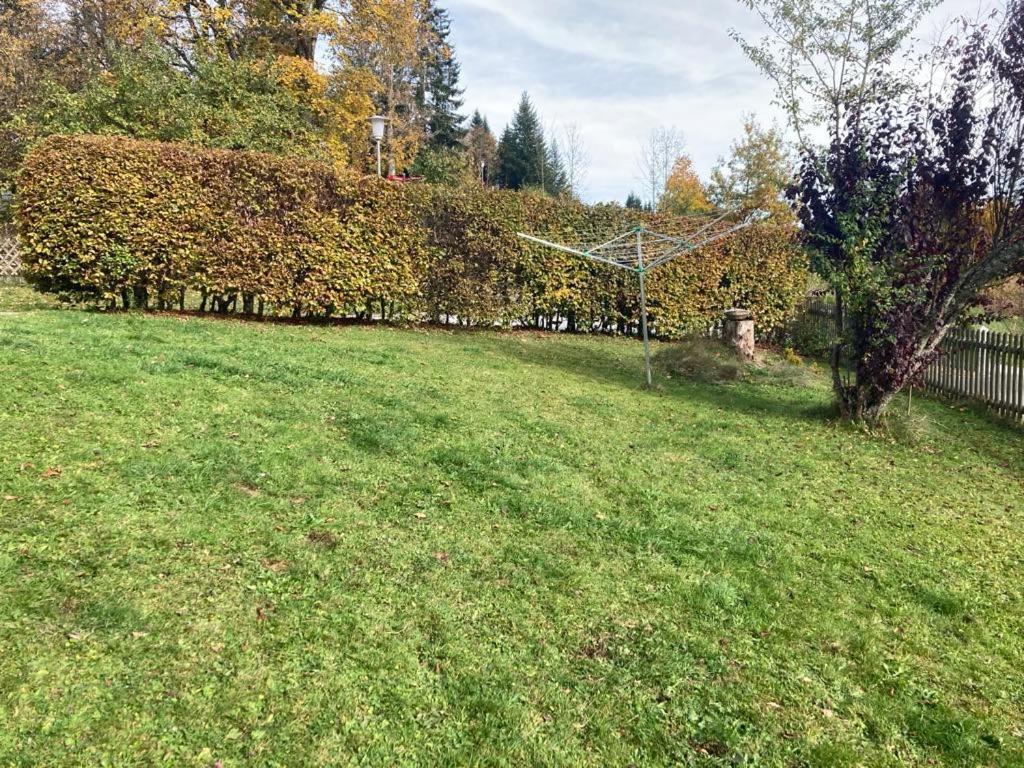 F&F Apartment Bayerisch Eisenstein Eksteriør bilde